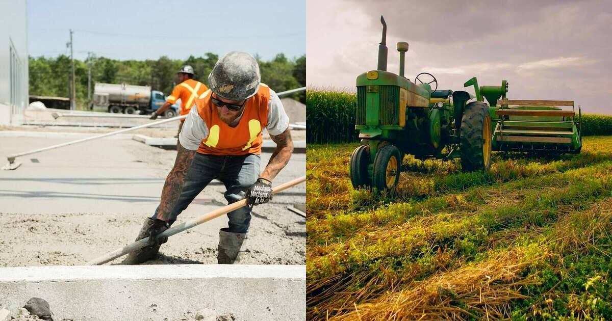 Obra e lavoura lado a lado: as duas frentes da ProntoLoc